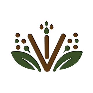 Viworo