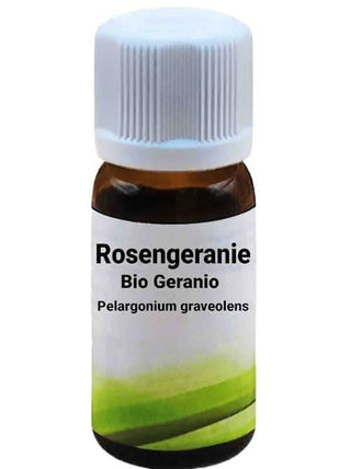 Bio Geranio - Pelargonium graveolens - Bio des Gstrein Patrick