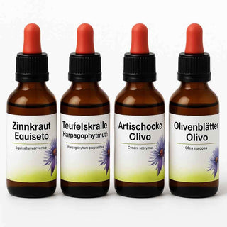 Set Estratti 4 x100 ml -Viworo