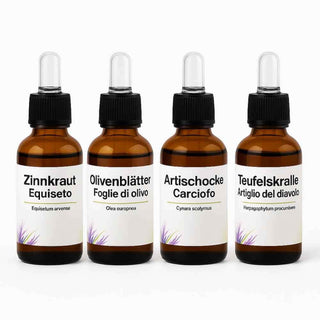 Set Estratti 4 x30 ml -Viworo
