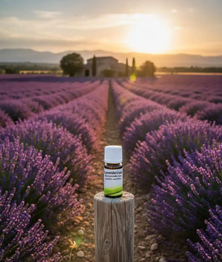 Flacone di olio di lavanda in un campo di lavanda al tramonto.