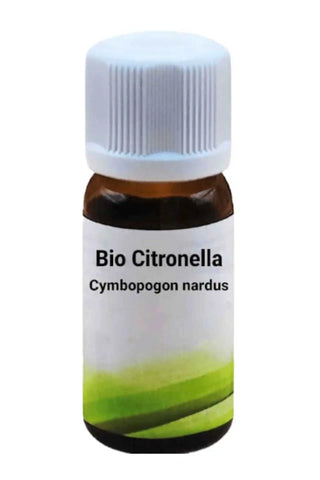 Bio Citronella - Cymbopogon nardus - Bio des Gstrein Patrick