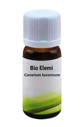 Bio Elemi - Canarium luzonicum - Bio des Gstrein Patrick