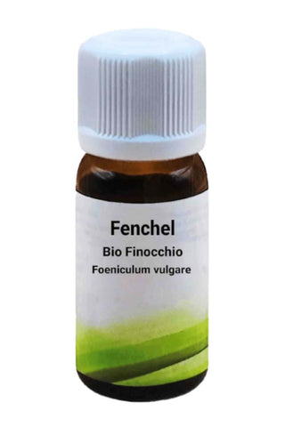 Bio Finocchio Foeniculum vulgare - Bio des Gstrein Patrick