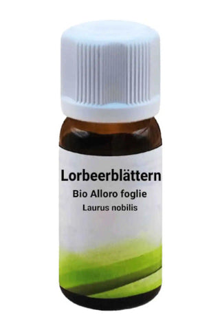 Bio Alloro foglie biologico - Laurus nobilis L. - Bio des Gstrein Patrick