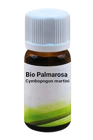 Bio Palmarosa - Cymbopogon martini - Viworo