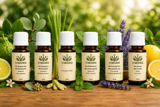Summer Essential Oil Set Organic