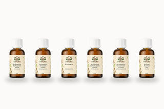Set Estivo di Bio 6×30 ml: oli essenziali biologici di Bergamotto, Eucalipto, Lemongrass, Menta, Lavanda vera e Limone Viworo, profumo agrumato e rinfrescante.