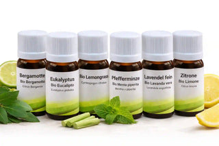 Set Estivo di Bio Oli Essenziali – Fragranze Rinfrescanti e Tonificanti per l'Estate - Viworo