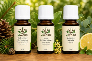 Top Seller Essential Oil Set