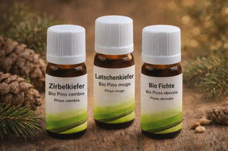 Set di Profumi Legnosi - Pino Mugo, Cirmolo e Abete Biologici 10 ml - Viworo