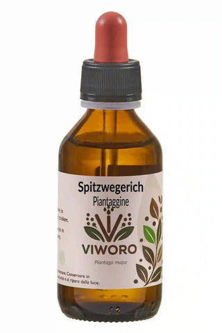 Flacone in vetro ambrato da 100 ml con pipetta rossa; etichetta bianca “Spitzwegerich / Piantaggine”, logo floreale verde-marrone e scritta Plantago major.
