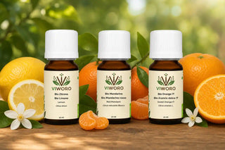 Organic Citrus Essential Oil Set