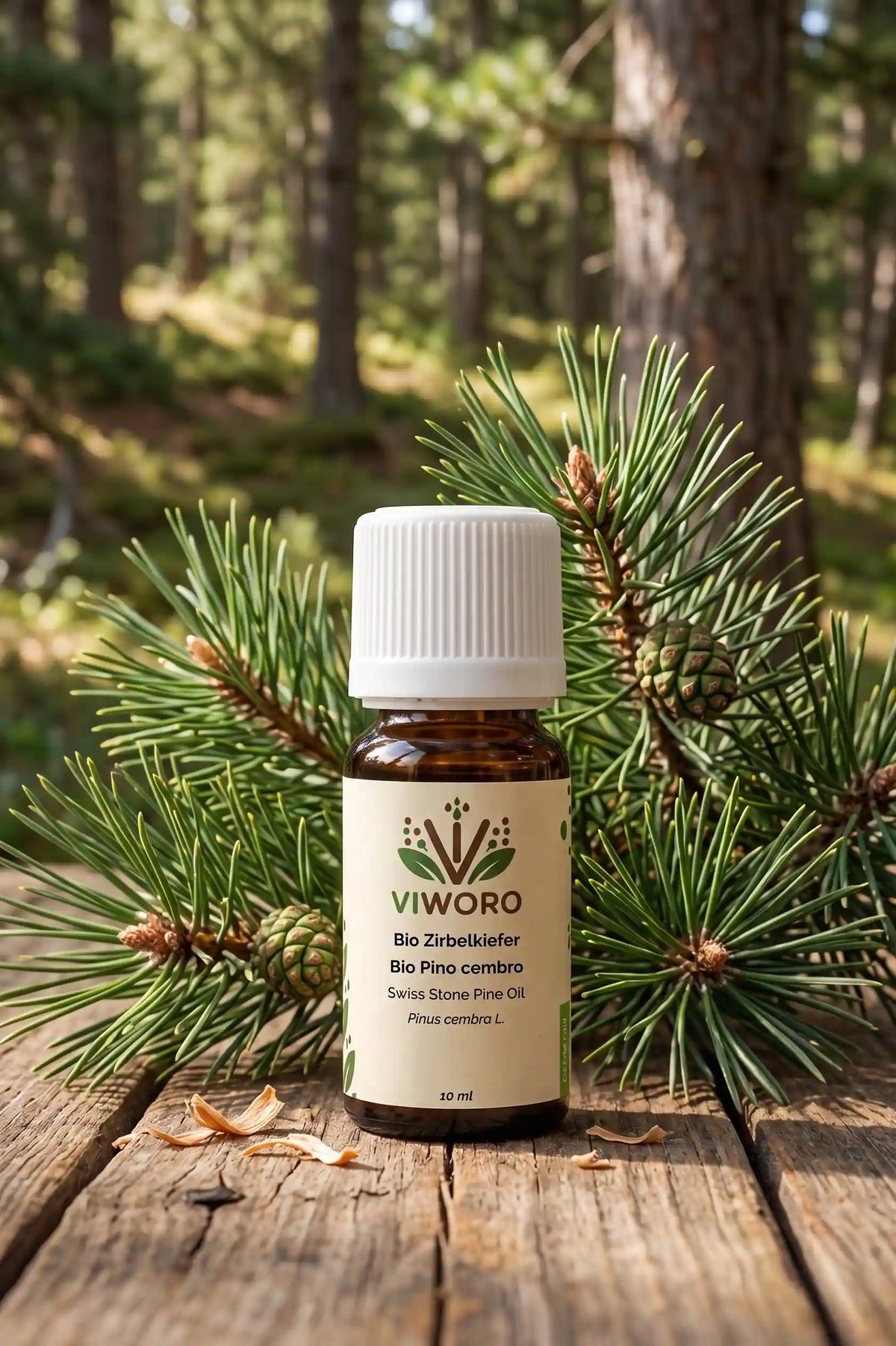 Zirbelkiefer Pinus cembra Baum Südtiroler Alpen