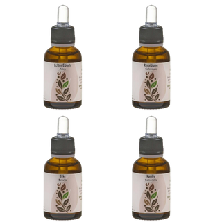 Collage del Quartetto Equilibrio Viworo: mostra i flaconi di Altea, Camomilla, Betulla e Calendula e i loro ingredienti freschi.