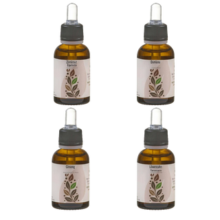 Collage del Quartetto Vitale Viworo: mostra i flaconi di Ginseng, Damiana, Tarassaco ed Equiseto con i loro ingredienti freschi e una donna in un prato.