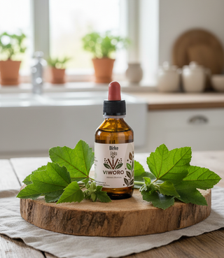 L'estratto di Betulla 1:1 Viworo in un ambiente luminoso, decorato con foglie fresche di betulla.