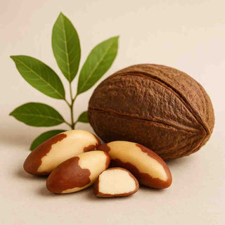 Noci del Brasile intere con guscio e foglie verdi – origine naturale del prodotto