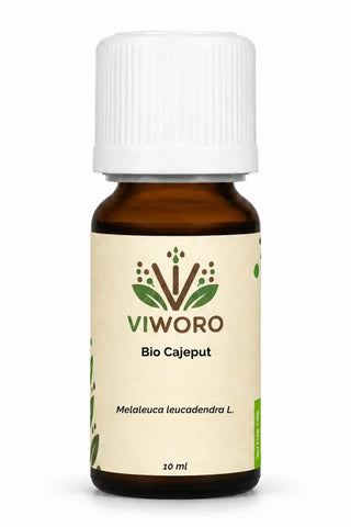 Olio essenziale di cajeput bio 10 ml Viworo, nota balsamica e canforata per aromaterapia.