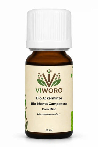 Olio essenziale di menta arvense bio 10 ml Viworo, nota fresca e mentolata per diffusore.