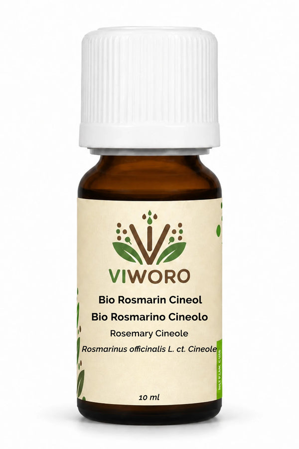 Rosemary Rosmarinus officinalis plant branches