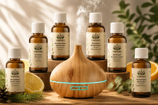 Set Diffusore Premium Viworo con 6 oli essenziali bio da 30 ml