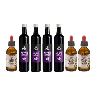 NUI NONI 100 days set: four bottles of noni juice with artichoke, dandelion and horsetail extracts of 100 ml each