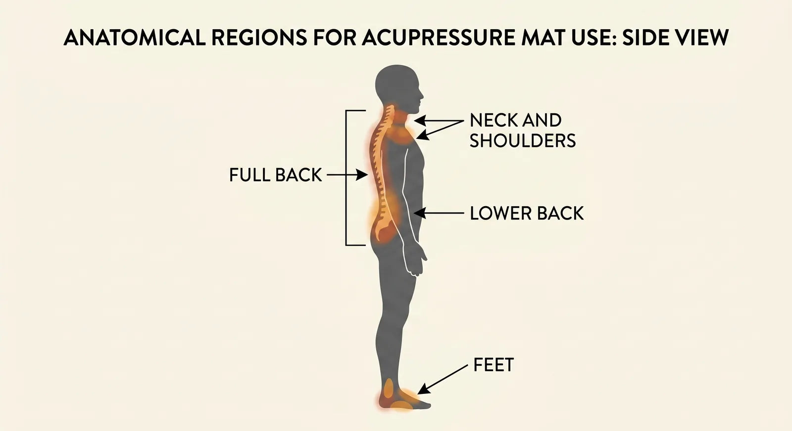 Anatomical regions for acupressure mat use: full back, neck and shoulders, lower back, feet