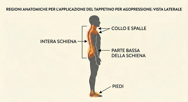 Regioni anatomiche per l'applicazione del tappetino: intera schiena, collo, parte bassa, piedi